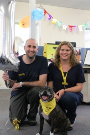 dogs.trust.image.oct.2015