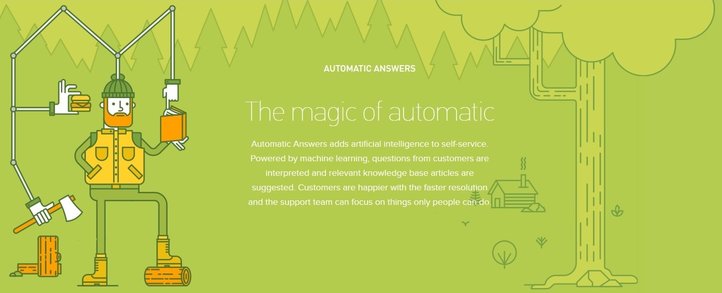 zendesk.automatic.image.july.2016