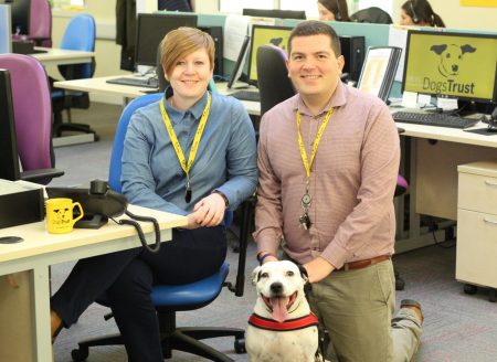 contact trust dogs millionth call canine reaches bone centre dog centres manchester