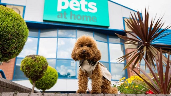 Pets at sale home craigleith